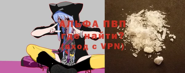 PSILOCYBIN Волосово