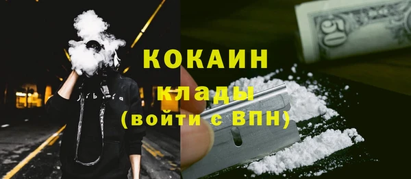 PSILOCYBIN Волосово