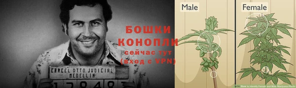 PSILOCYBIN Волосово