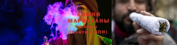 PSILOCYBIN Волосово