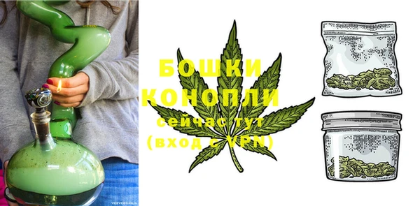 PSILOCYBIN Волосово