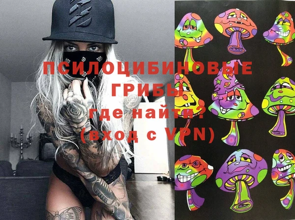 PSILOCYBIN Волосово
