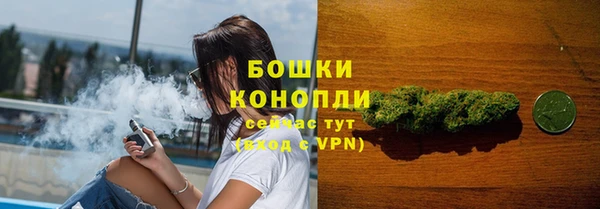 PSILOCYBIN Волосово