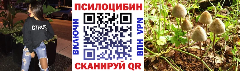Купить  Куйбышев  Галлюциногенные грибы прущие грибы 